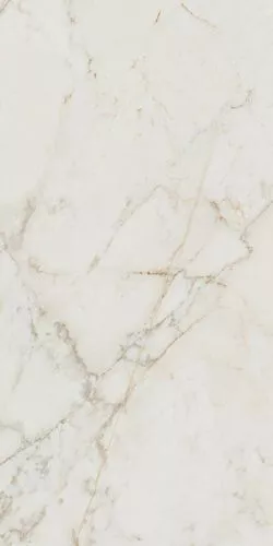 Roma Gold Gres Porcellanato Delicato Brill 60x120 RT - фото 1
