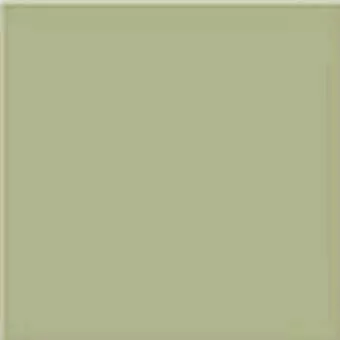 Monocolor Musgo 20x20 - фото 1