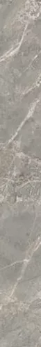 Etoile de Rex Gris Mat Bs 4.6x60 - фото 1