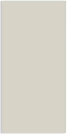 Vario Color Натур. Белый R10/B №890 11.9x24.4 - фото 1