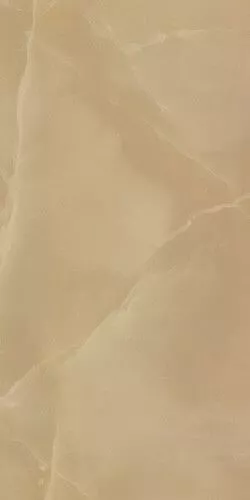 Roma Gold Gres Porcellanato Onice Miele Brill 80x160 RT - фото 1