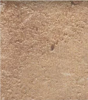 D' Anticatto Marrone 22.5 x 22.5 - фото 1