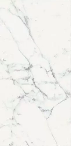 Les Origines de Rex Blanc Glossy Rett 60x120 - фото 1