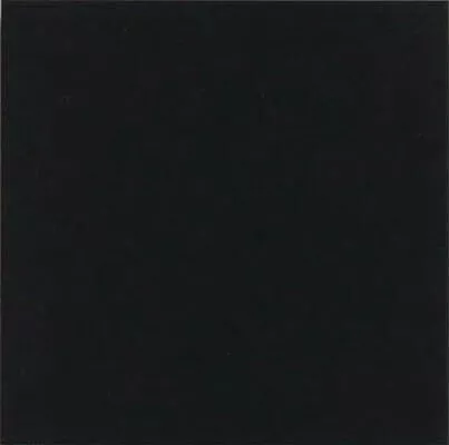 Monocolor Negro 20x20 - фото 1
