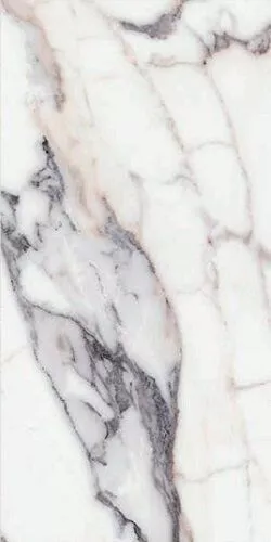 Les Origines de Rex Argent Matte Rett 60x120 - фото 1