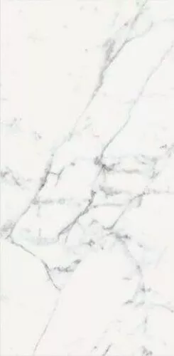 Les Origines de Rex Blanc Matte Rett 60x120 - фото 1