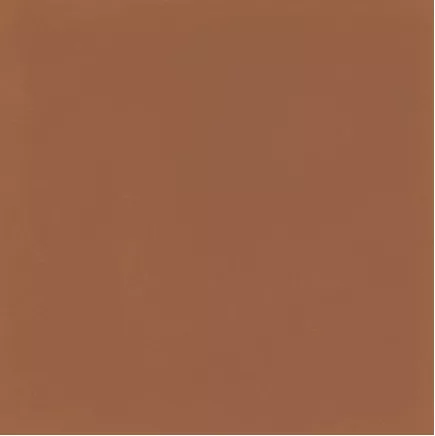 D_Segni Colore Tangerine 20x20 - фото 1