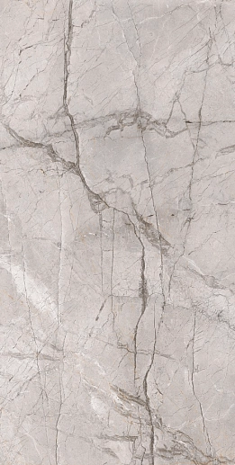 Premium Marble Dragon Grey Silk 60x120 - фото 1