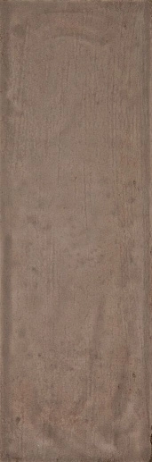 Maiolica Corda 10x30 - фото 1