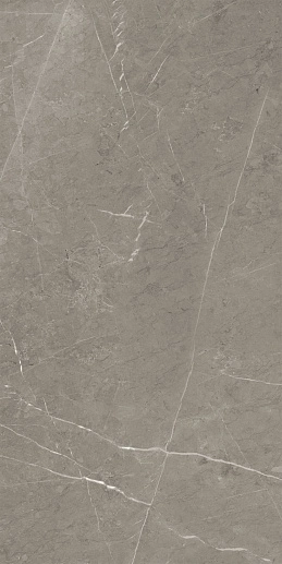 Skala Grey K-2202/MR/600x1200x11 - фото 1