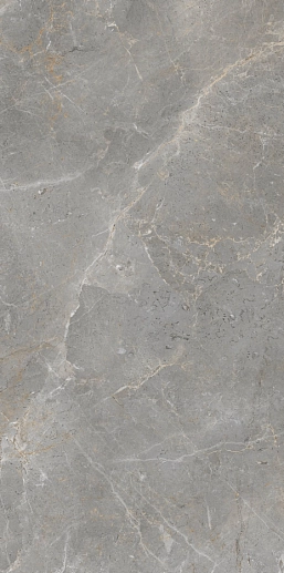 Augustus Grey Natural rect 60x120 - фото 1