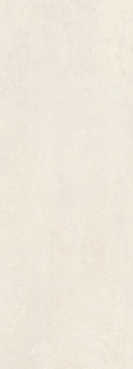 Fancy White Rec.29.5x90.1 - фото 1