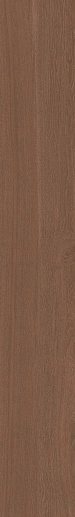 Lignum R Bold 26x180 - фото 1