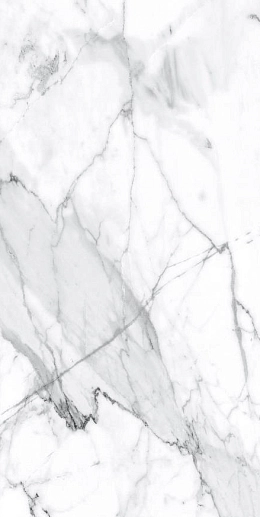 Premium Marble Visage Grey Plus Pol. 60x120 - фото 1