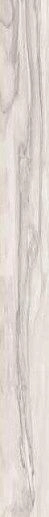 Epic White Ret 10x100 - фото 1