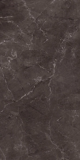 Vitrum Dark Grey Полированный 60x120 - фото 1