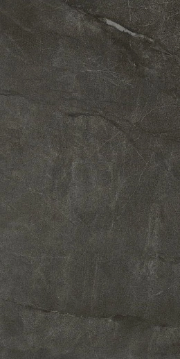 Muse 12Dg Lp 60x120 - фото 1