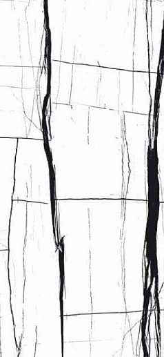 Sahara Noir White Full Lappato 60x120 - фото 1