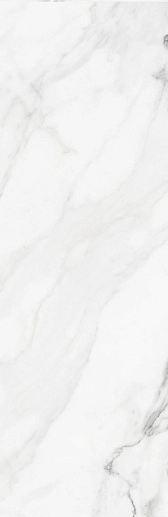 Insignia White Mate - 221652 31.6x100 - фото 1