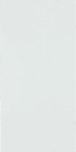 Fiori Blue Sciana 30x60 - фото 1