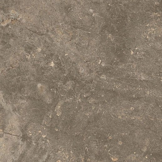 Червиния Земля 45x45 - фото 1