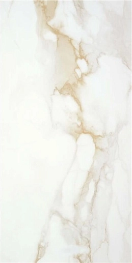 Camile Gold 60x120 - фото 1