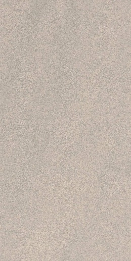 Arkesia Grys 29.8x59.8 - фото 1