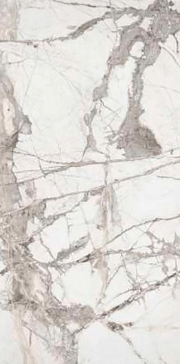 Premium Marble Ice Burg Pol. 60x120 - фото 1