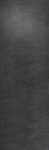 Seta Liquorice 100x300 - фото 1
