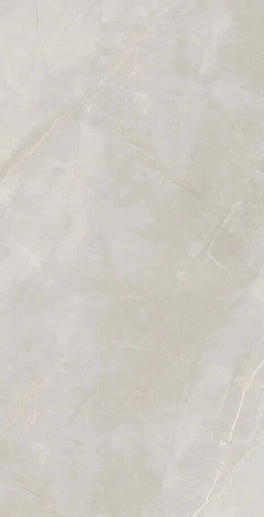 Marble Royalish Grey 9 mm POLI 60x120 - фото 1
