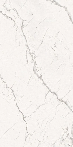 Armonia Silver Full Lappato 60x120 - фото 1
