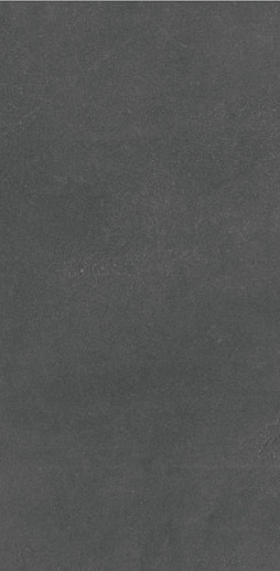 Evoque Coal 29.9x60 - фото 1