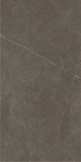 Northon P.E Pul Rect Taupe 59x119 - фото 1