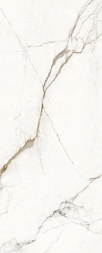 Unique Marble Paonazzetto 120x278 Lappato - фото 1