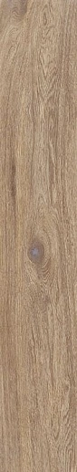 Wood Love Brown Rekt. Struktura Mat 19.8x119.8 - фото 1