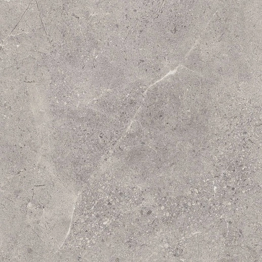 Sunnydust Grys Gres 59.8x59.8 - фото 1