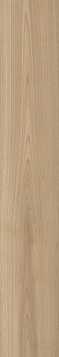 Madera Honey/Медовый MR 120x20 - фото 1