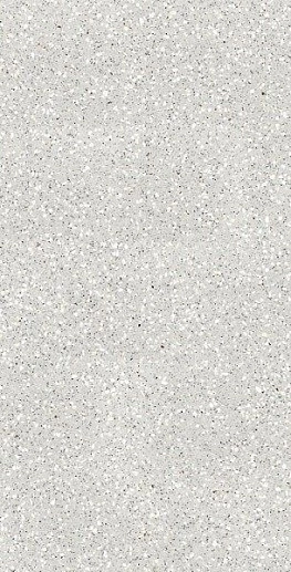 Cosmos Grey 60x120 - фото 1