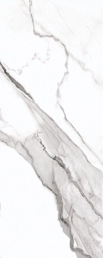 Polar Белая 20.1x50.5 - фото 1