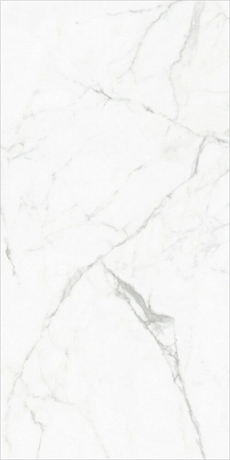 Elegant Statuario Белый 60x120 - фото 1