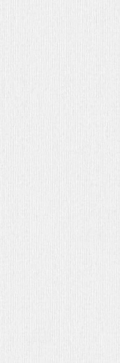 Rigato Neve 100x300 - фото 1