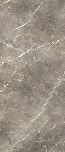 Eclectic Persian Grey 60x120 - фото 1