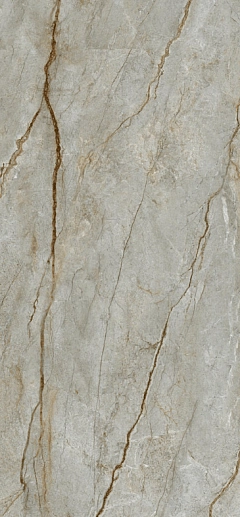 Marble Wild Forest Matt 120x300 - фото 1