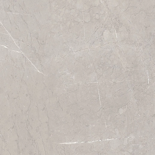Ebri Gris 60x60 - фото 1