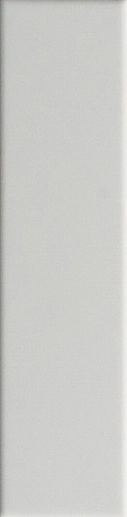 Biscuit Plain Bianco 5x20 - фото 1