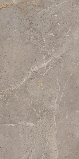 Augustus Brown Natural rect 60x120 - фото 1