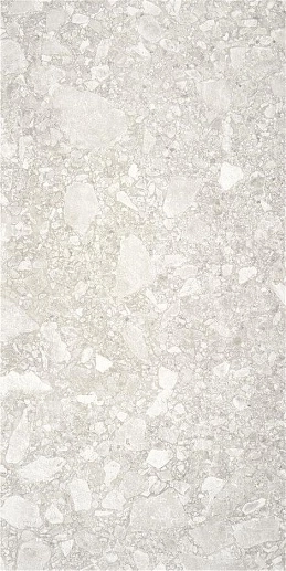 Ceppo Di Gre Light Grey 60x120 - фото 1