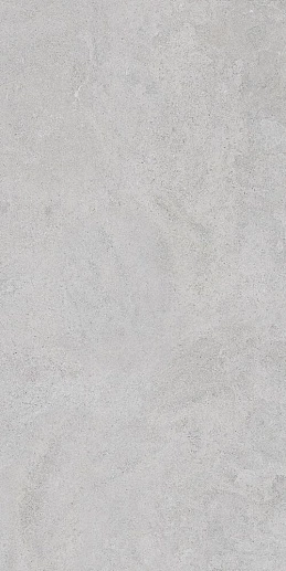 StoneSystem Боргония Клауд Серый Матовый 60x120 - фото 1