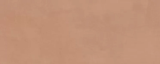 7254 Каннареджо оранжевый матовый 20x50x0.8 - фото 1