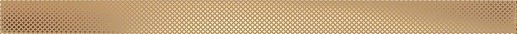 Selvo Listwa Gold 4x60.8 - фото 1
